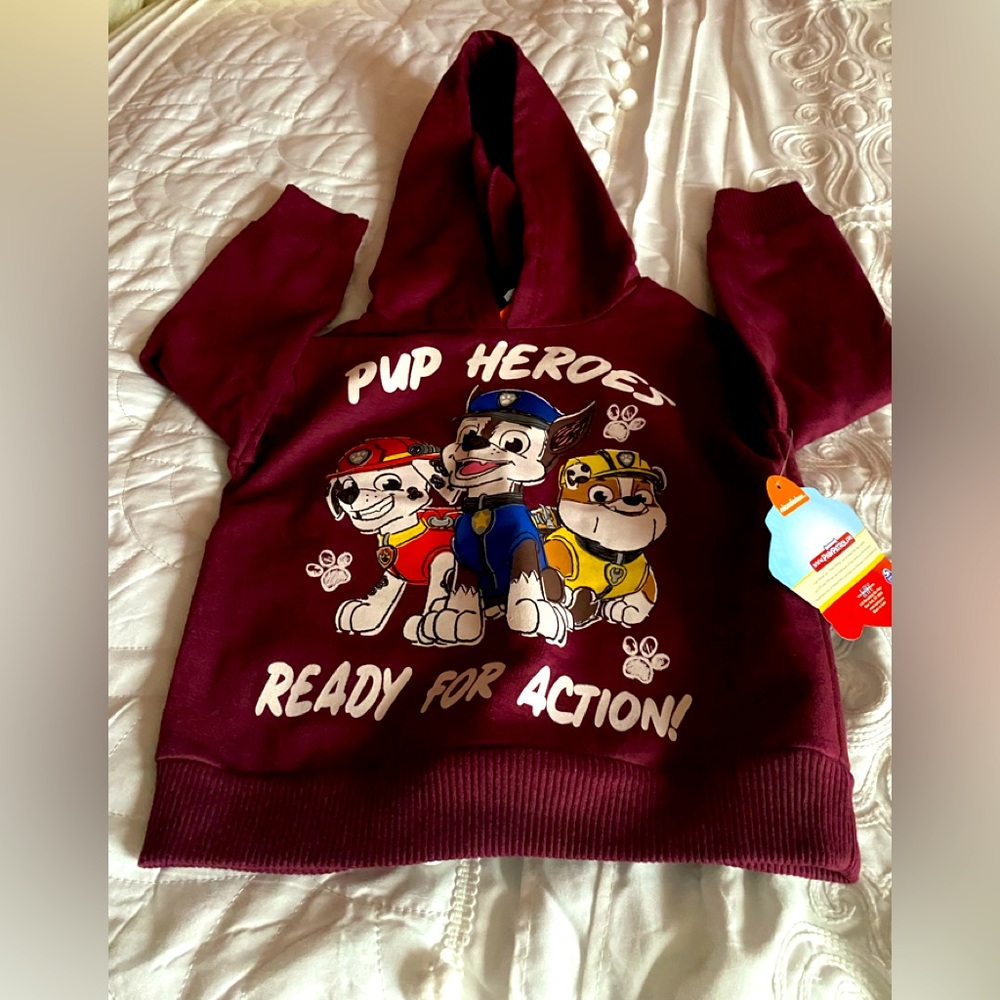 Kid’s Nickelodeon Woody Pullover.(Boy)